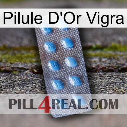 Vigra Gold Pill viagra3